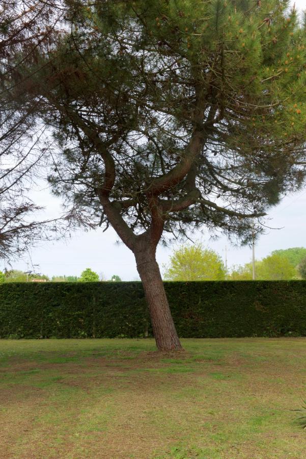 Apartment House Cavallino-Treporti